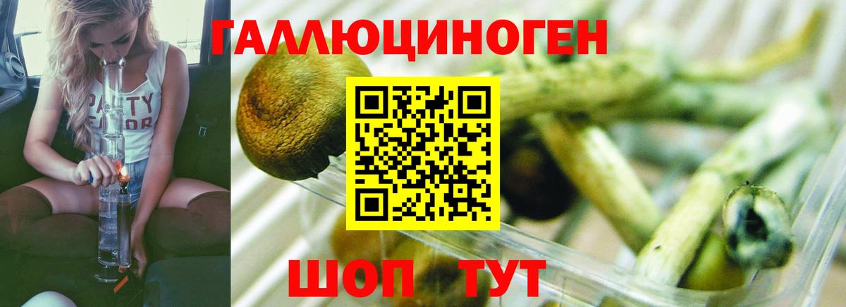 Галлюциногенные грибы GOLDEN TEACHER  Вход с VPN  Вязьма 